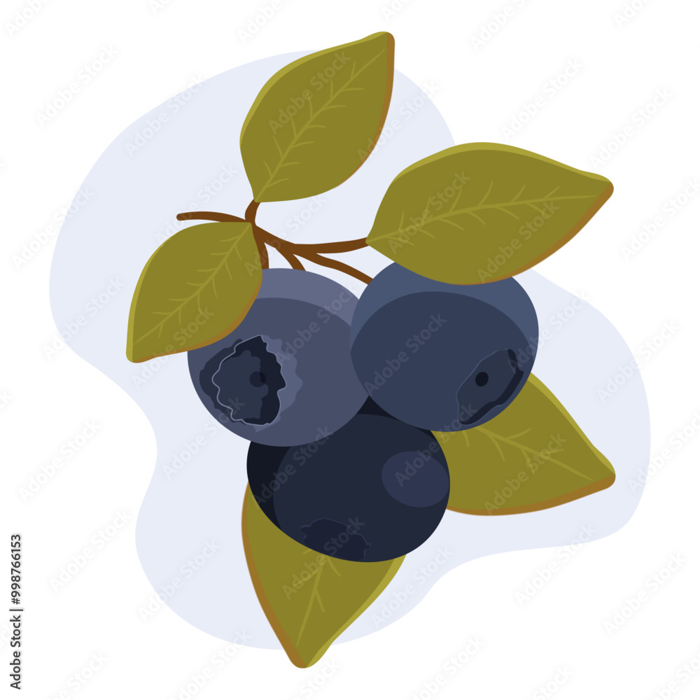 A sprig of blueberries