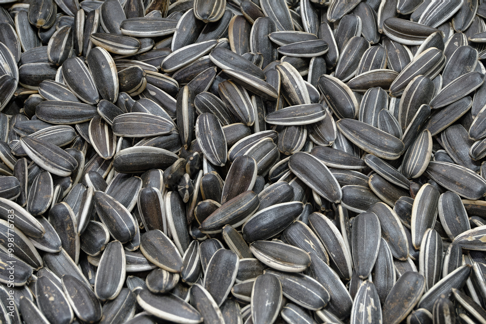 Dried sunflower seeds Dried sunflower seeds