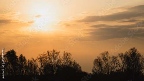 Wallpaper Mural Beautiful colorful sunset Torontodigital.ca