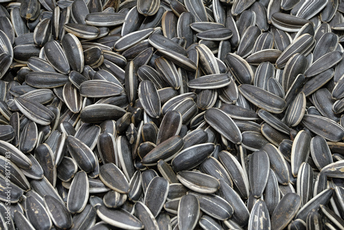 Dried sunflower seeds #998775783