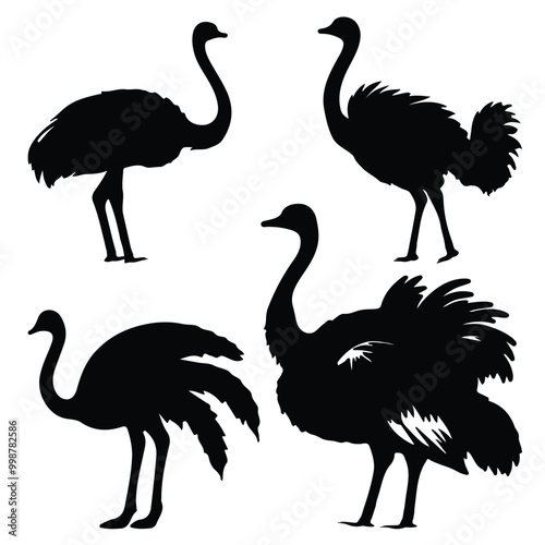 create black silhouette ostrich set vector with white background