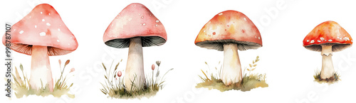 Charming Watercolor Mushrooms in Various Styles, isolated on transparent background.