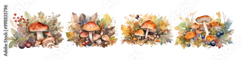 Watercolor mushrooms collection. Mushrooms plants.