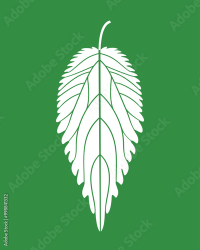 Nettle plant. Isolated nettle on green background
