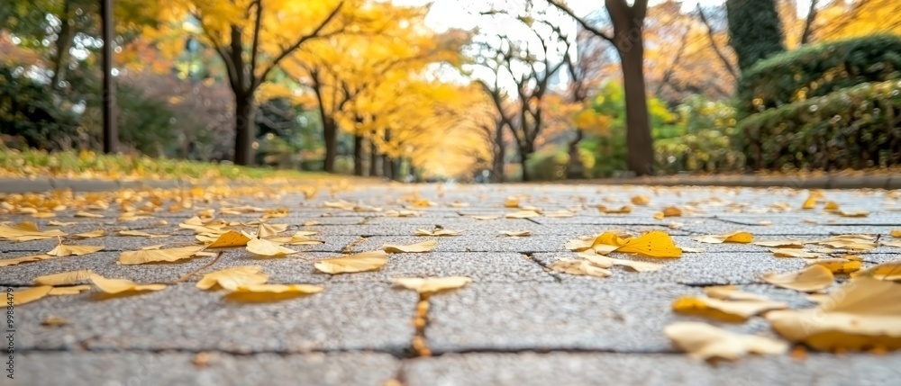 Amidst a street, yellow leaves scatter the ground Trees line both sides of the road, their background showcases a backdrop of these autumnal elements Amidst a street, yellow leaves scatter the ground Trees line both sides of the road, their background showcases a backdrop of these autumnal elements