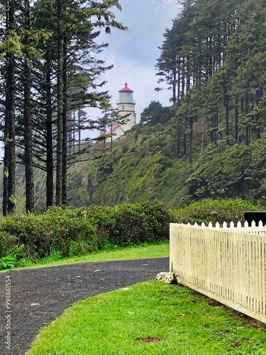 Trail to Heceta Head Lighthouse on the Oregon Coast. photo