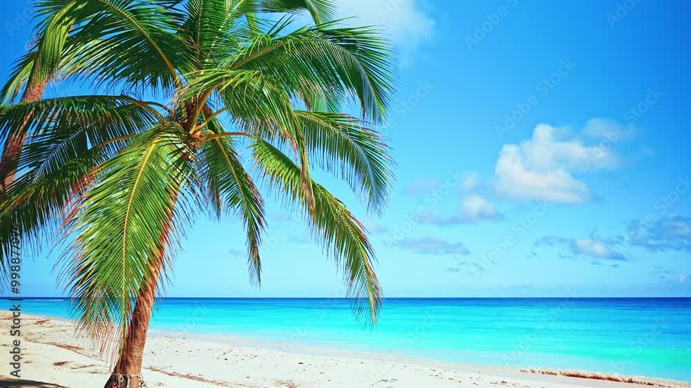 Relax on Maldives beach with white sand and turquoise sea. Indian coast under blue cloudy sky. Palm island on sunny summer day. Amazing tropical holiday in luxury resort in blue lagoon. Relax on Maldives beach with white sand and turquoise sea. Indian coast under blue cloudy sky. Palm island on sunny summer day. Amazing tropical holiday in luxury resort in blue lagoon.