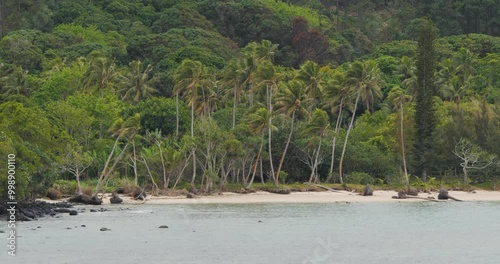 Aneityum,southernmost island of Vanuatu,neighboring the Mystery Island,Vanuatu. photo