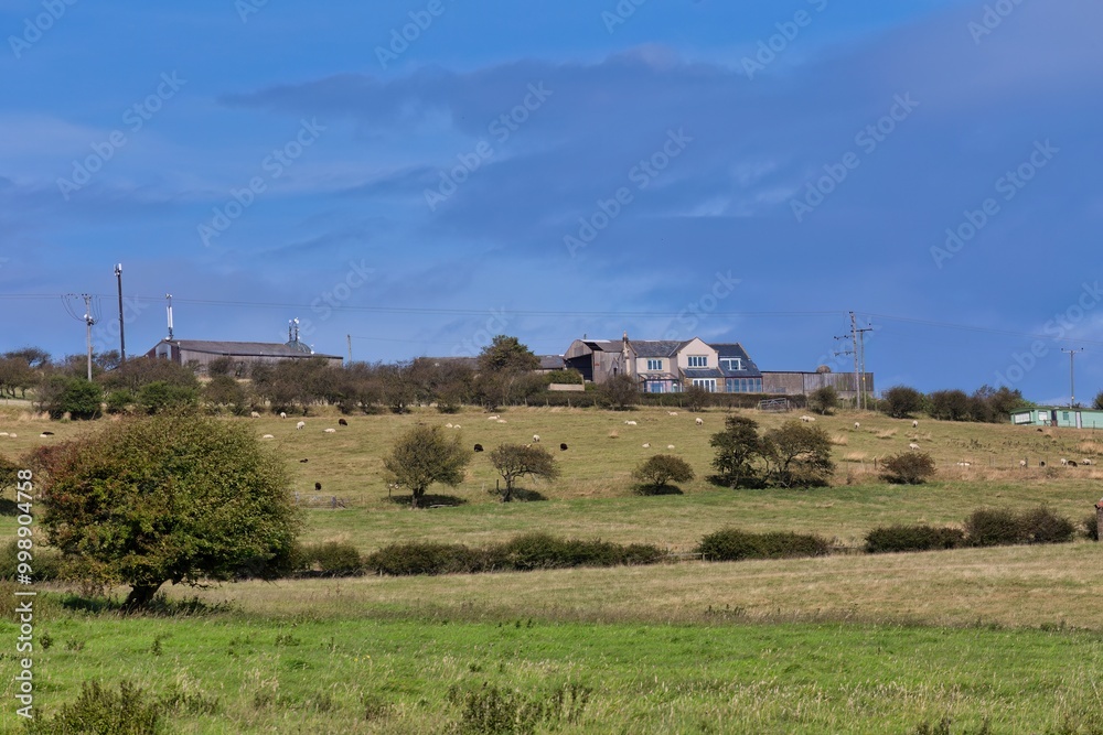 farm building and field in Robin Hood’s Bay - North Yorkshire - Great Britain farm building and field in Robin Hood’s Bay - North Yorkshire - Great Britain