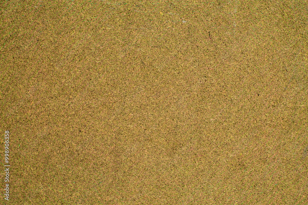 Natural Linen Material Textile Canvas Fabric Texture Background
Close-up Detail of Fabric Natural Color Hemp Material Pattern Design Wallpaper. Can be Used as Background or For Graphic Design
Natural Linen Material Textile Canvas Fabric Texture Background
Close-up Detail of Fabric Natural Color Hemp Material Pattern Design Wallpaper. Can be Used as Background or For Graphic Design
