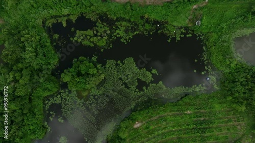 Wallpaper Mural Aerial View of a Serene Pond Surrounded by Lush Greenery in a Tranquil Landscape During Daylight Hours Torontodigital.ca