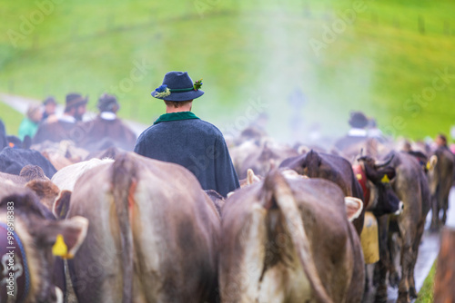 Viehscheid - Allgäu - Almabtrieb - Kühe - Tradition photo