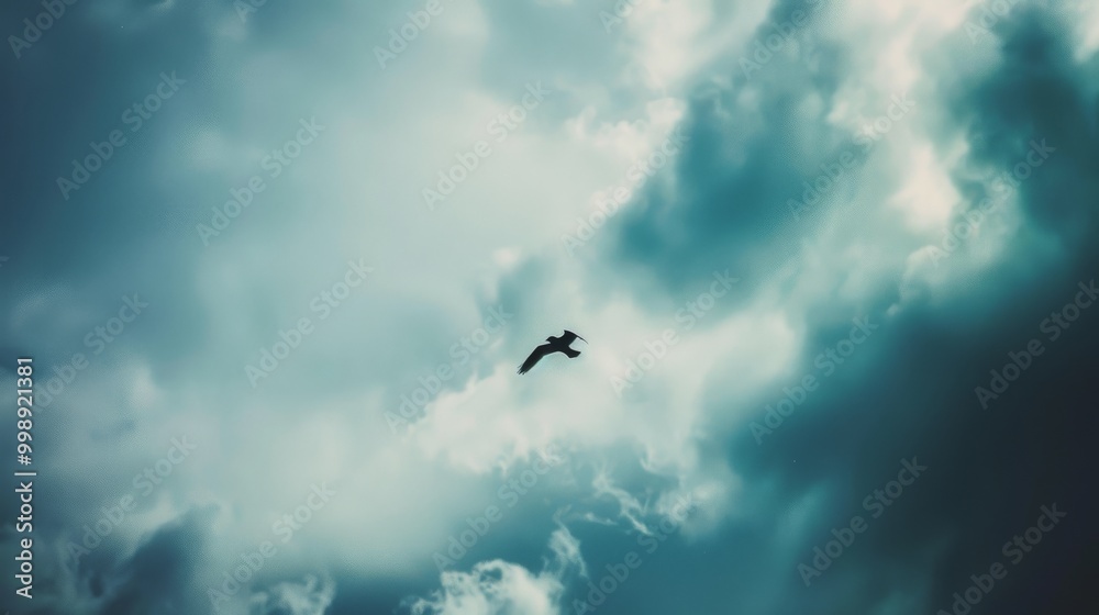 A single bird glides through a partially cloudy sky, capturing a timeless moment of freedom with natural beauty. A single bird glides through a partially cloudy sky, capturing a timeless moment of freedom with natural beauty.