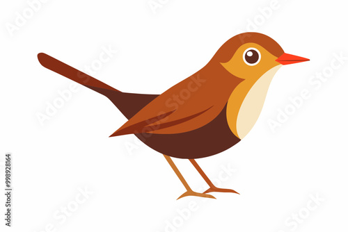 Ovenbird bird creative vector design on a white background photo