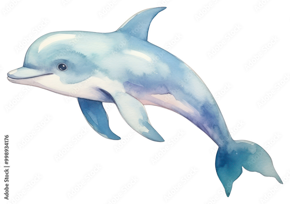PNG Baby dolphin study animal mammal fish. PNG Baby dolphin study animal mammal fish.