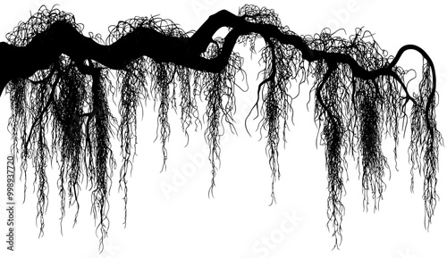 The background shows a tropical jungle liana branch vine silhouette, black background with rainforest thicket, Amazon or African flora, tropic leaves, plants and foliage.