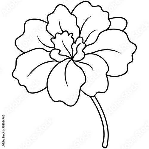 hand-drawn-geranium-flower-vector line art