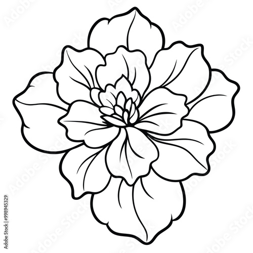 hand-drawn-geranium-flower-vector line art
