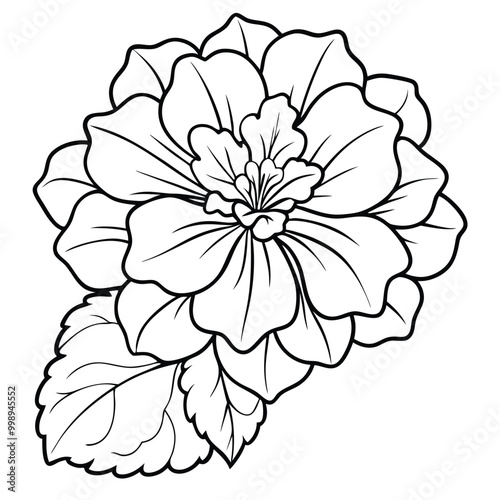hand-drawn-geranium-flower-vector line art