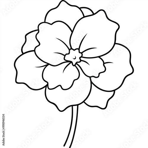 hand-drawn-geranium-flower-vector line art