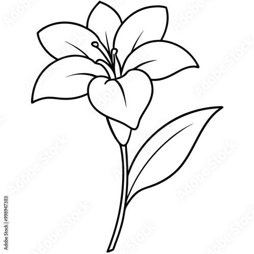 hand-drawn-gladiolus-flower-vector line art