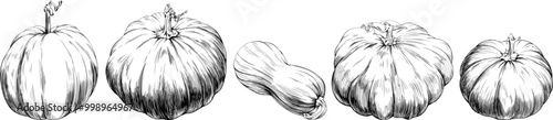 Pumpkin vegetable healthy food. Black and white engraved ink art. Isolated pumpkin illustration element on white background.