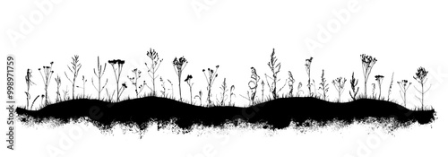 Wild plants, weeds silhouette on black grunge texture background. Vector illustration