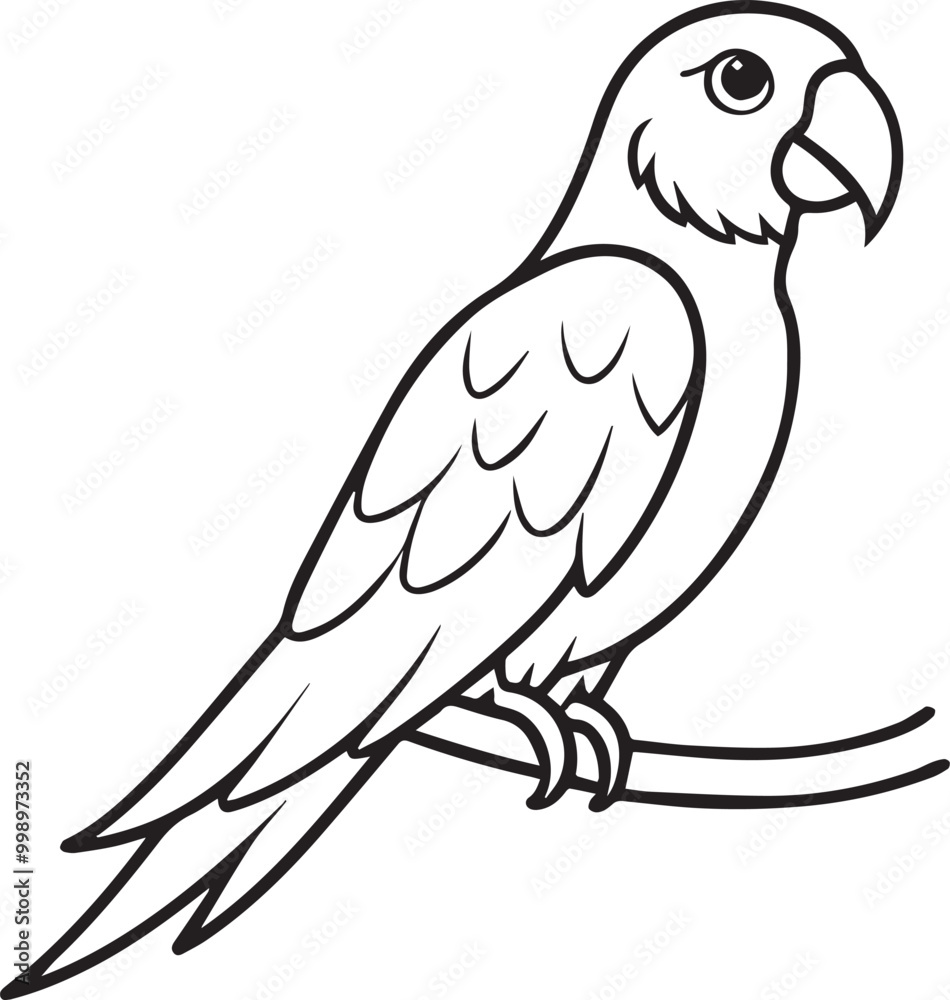 set of black and white birds and parrot set of black and white birds and parrot