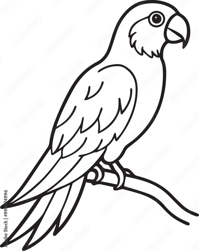 set of black and white birds and parrot set of black and white birds and parrot