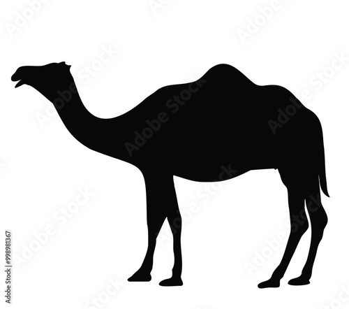 camel illustration in black silhouette vector isolated illustration on white background for UAE, Saudi Arabia, bahrain, Kuwait, sudan, iraq, lebanon, Libya, Qatar, egypt, oman, other arab countries