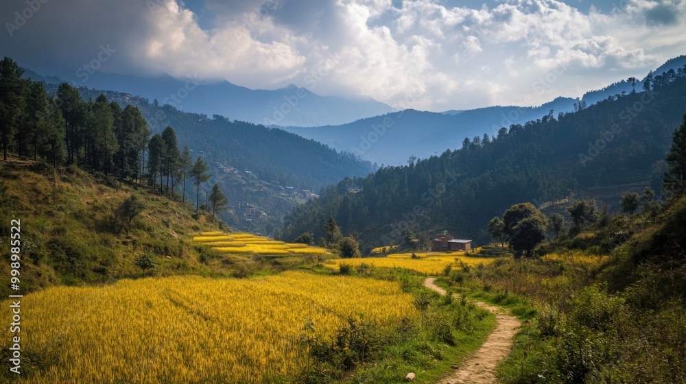Fototapeta premium Explore the Tranquil Beauty of Lush Golden Fields Surrounded by Majestic Mountains