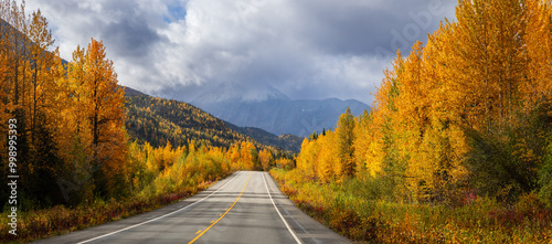 Scenic Richardson Highway in Alaska during autumn time.