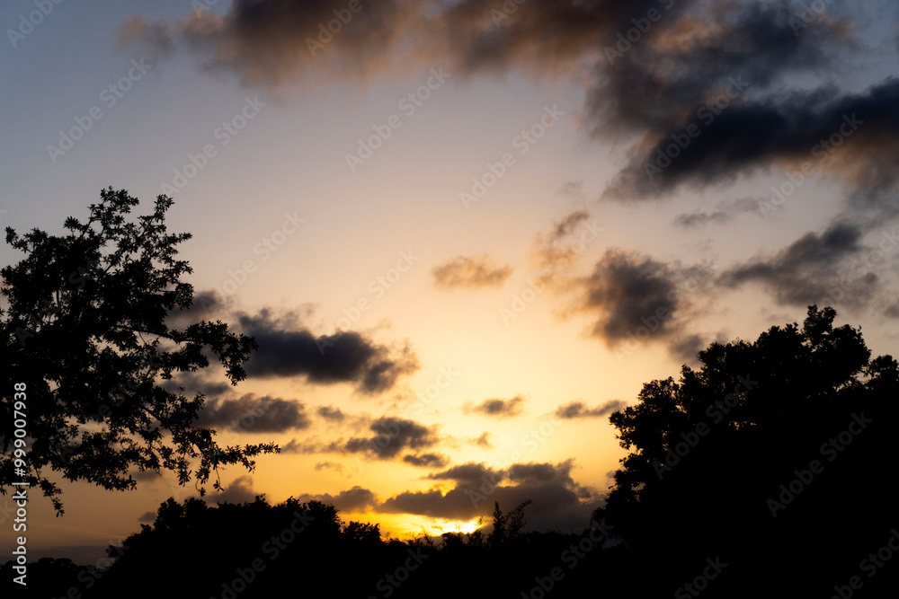Underexposed sunset on a Tree-line, sky view Underexposed sunset on a Tree-line, sky view