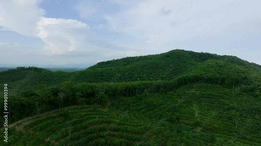 Exploring Lush Green Hills in a Serene Landscape During Daylight in Late Summer Exploring Lush Green Hills in a Serene Landscape During Daylight in Late Summer