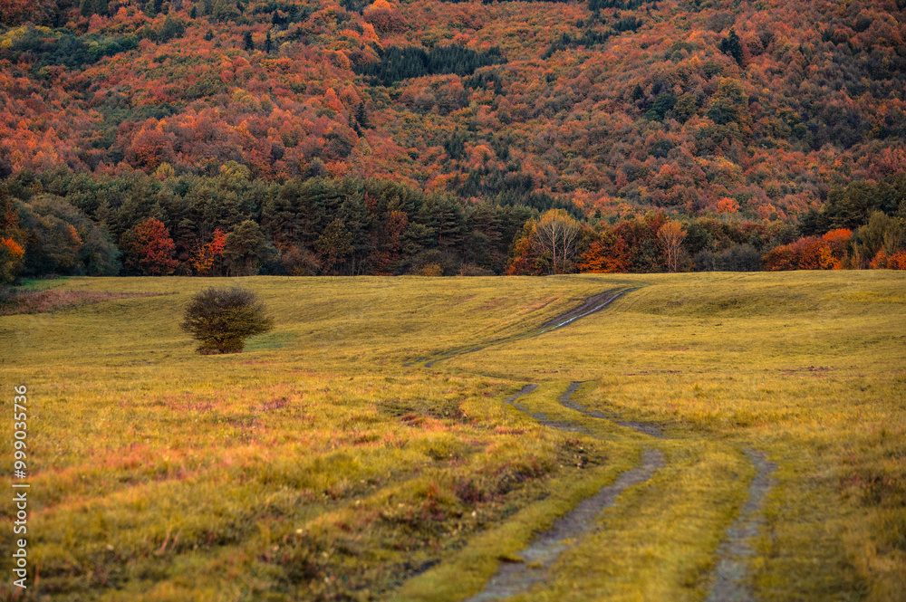 Fototapeta premium Earth Tones of colors in grey autumn nature. Orange and brown forest and meadow