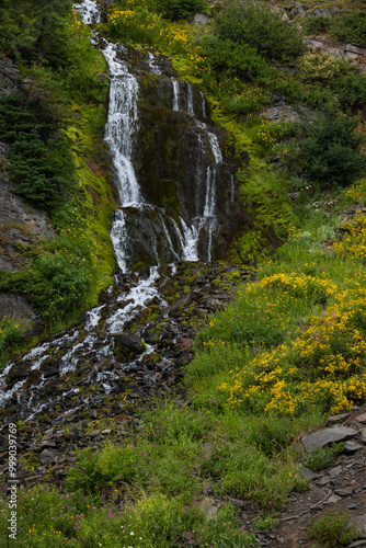 Vidae Falls, waterfall at Crater Lake National Park, Oregon