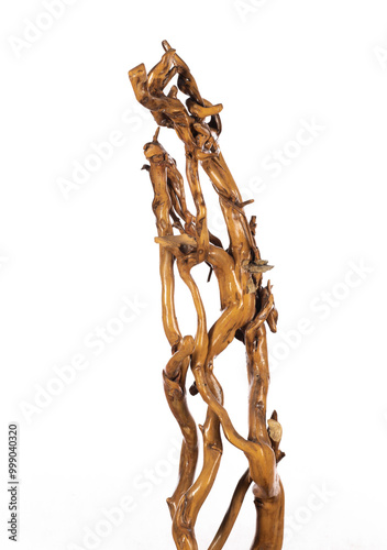decorative composition of dry tree branches isolated on white background