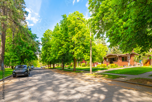Fototapeta Naklejka Na Ścianę i Meble -  A tree lined street of historic homes at the Manito Park district, in the South Hill area of Spokane, Washington, USA.