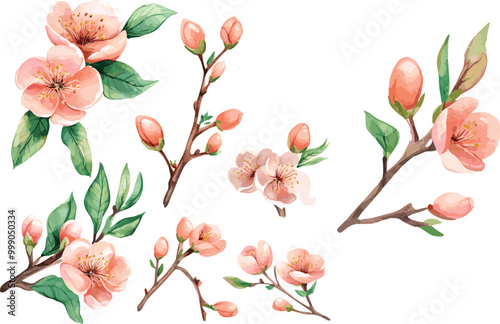 spring flowers set, almond tree branches, vector set