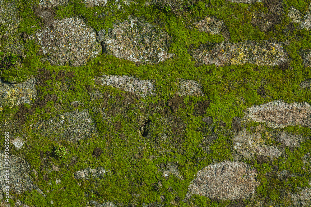 Close-up of a textured stone wall covered with vibrant green moss, Close-up of a textured stone wall covered with vibrant green moss,