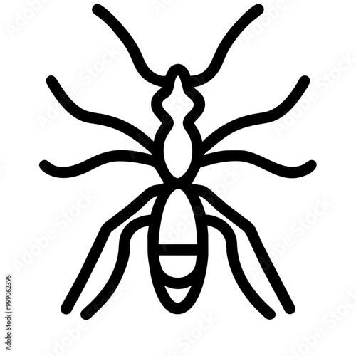 Ant