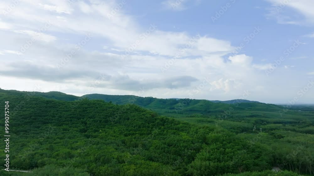 Scenic Aerial View of Winding Road Through Lush Green Forest in Rural Countryside During Peak Summer Season Scenic Aerial View of Winding Road Through Lush Green Forest in Rural Countryside During Peak Summer Season