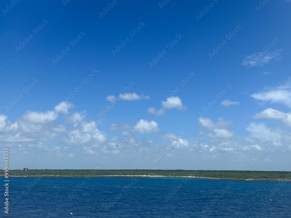 Fototapeta premium Tropical beach coastline with palm trees and clear turquoise water under a sunny blue sky, perfect for vacation, travel, and paradise-themed nature and landscape photography