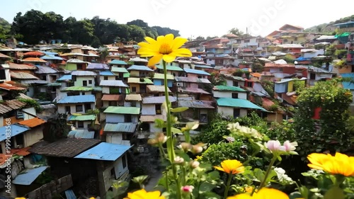 Garden Flowers The Slum