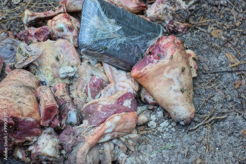 Cuadro en lienzo brown pieces of fresh spoiled meat lie on the gray ground on a summer street