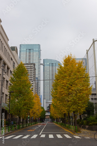 odaiba street and yellow trees