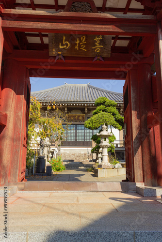 temple gate at tokyo