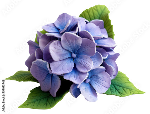 PNG Cute Plasticine clay 3d of a hortensia flower geranium blossom anemone.