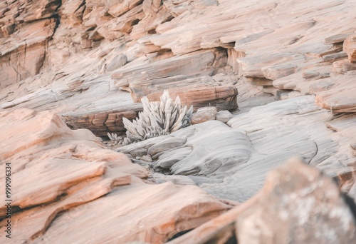 Dramatic rock formations with unique white foliage growing among the rugged landscape. photo