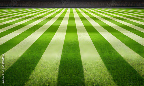 Green grass field with white lines, perfect for sports and games.